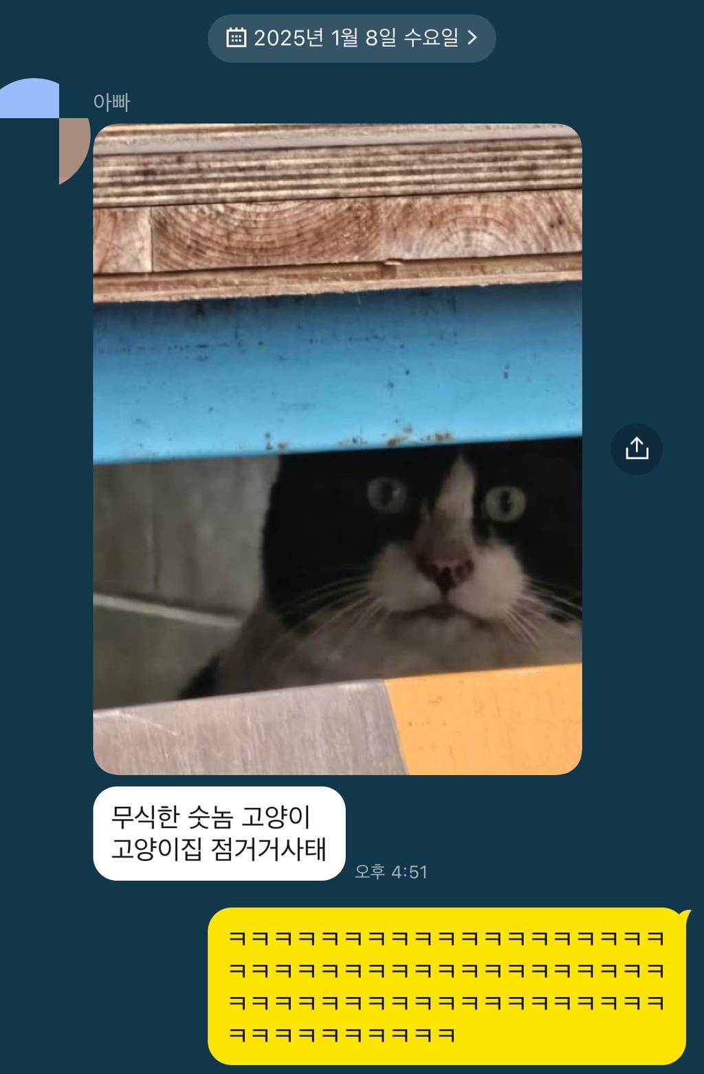 길고양이 극혐하던 아빠 근황 | 인스티즈