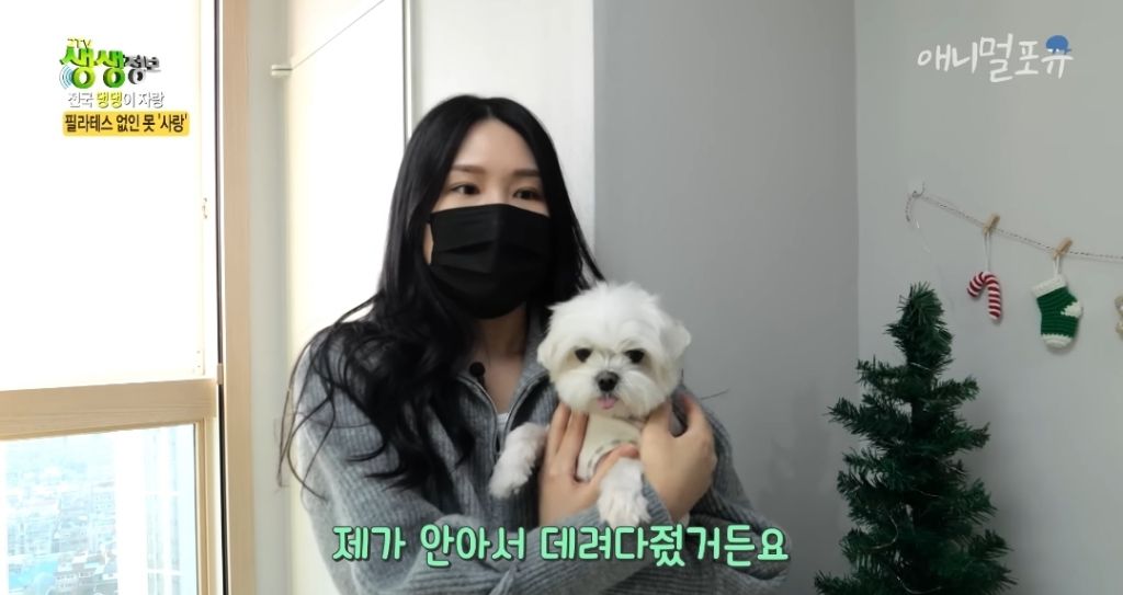 필라테스 하는 강아지 | 인스티즈