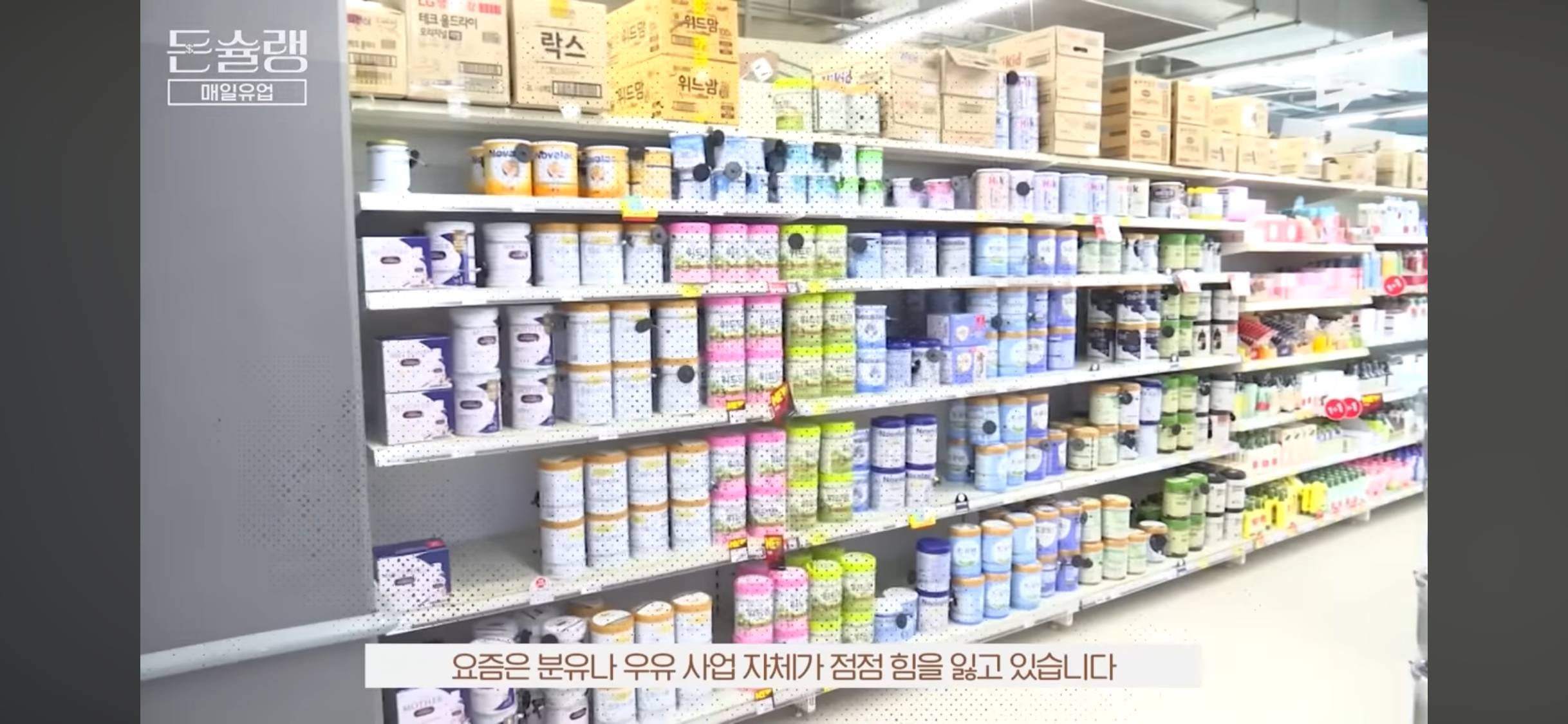 남양우유가 무너지고, 매일우유가 올라온 이유🥛 | 인스티즈