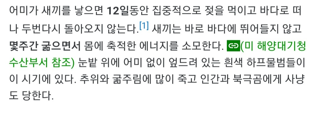 엄마 찾다가 눈물 고인 하프물범 | 인스티즈