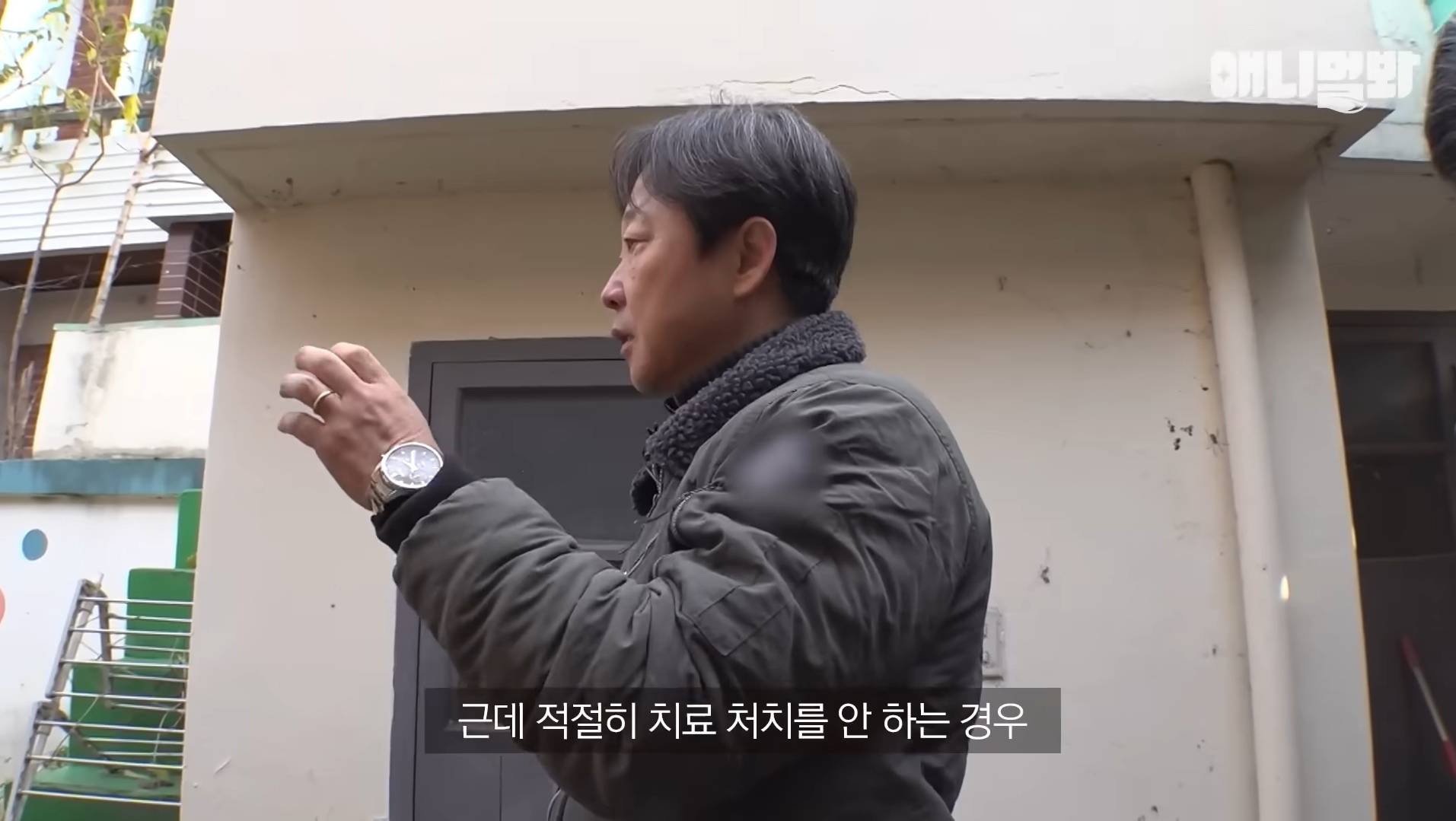 털로 뒤덮여서 걷지도 못하는데 케어한 거라는 견주 | 인스티즈