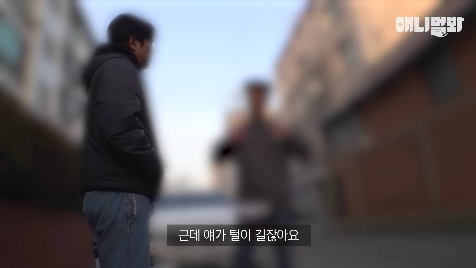 털로 뒤덮여서 걷지도 못하는데 케어한 거라는 견주 | 인스티즈