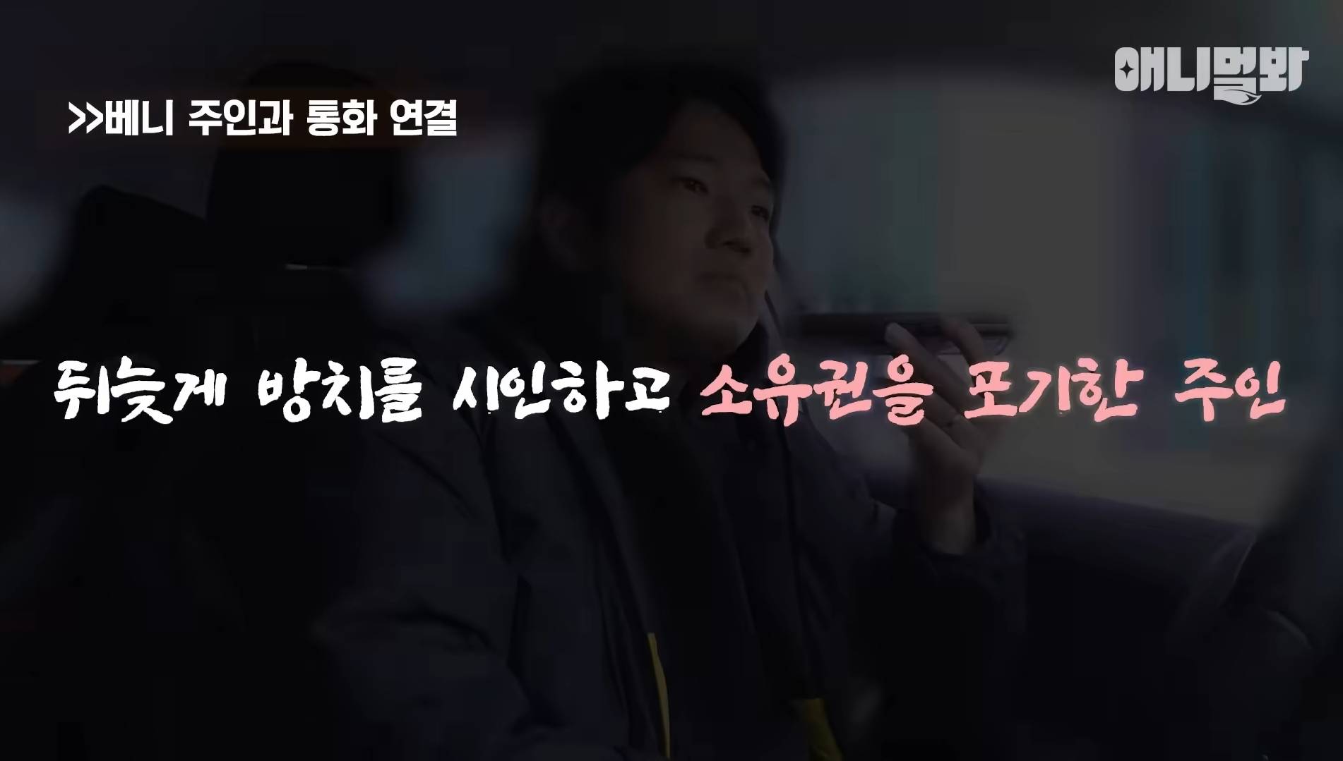 털로 뒤덮여서 걷지도 못하는데 케어한 거라는 견주 | 인스티즈