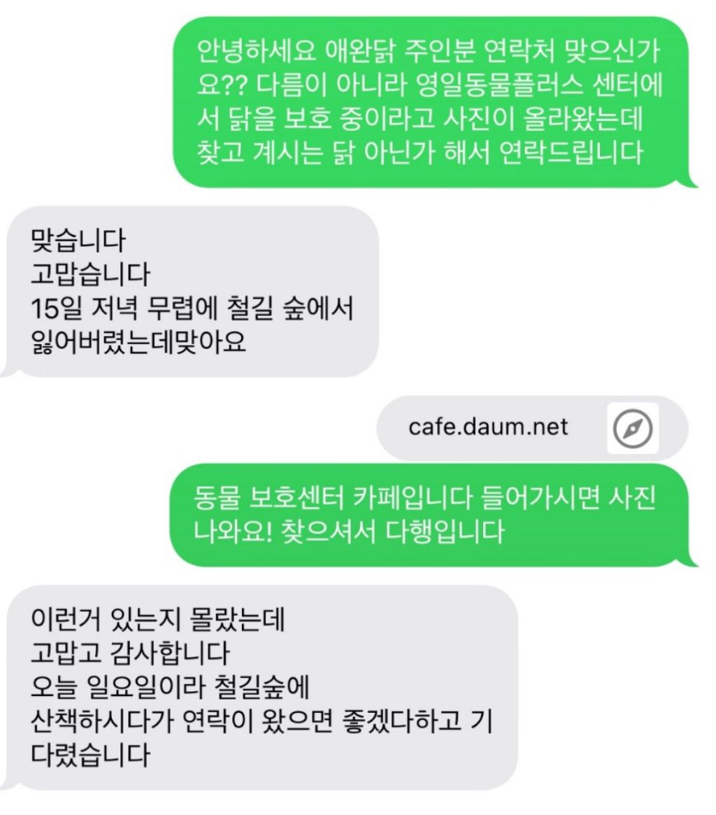 동물보호 센터에 들어온 숫닭이 sns덕분에 주인 할아버지에게 돌아간 사연 | 인스티즈