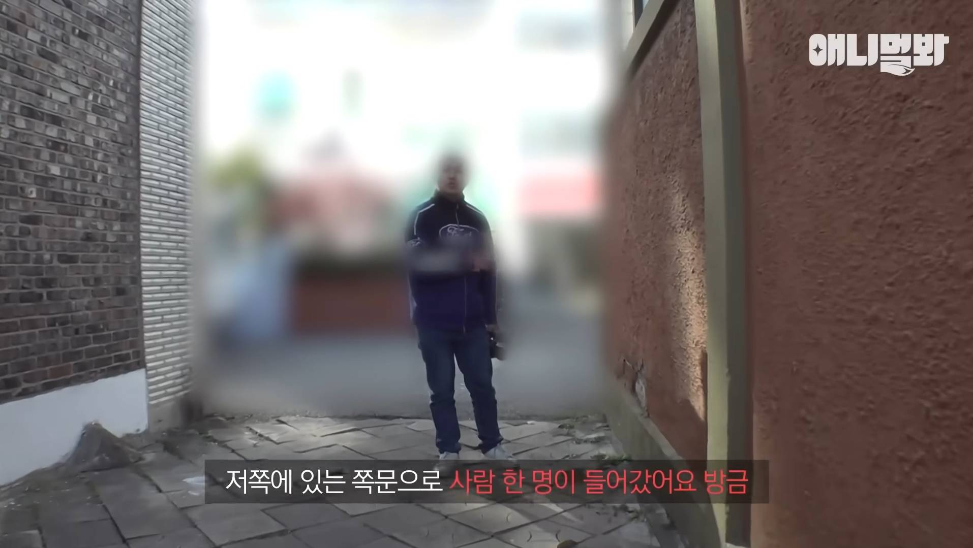 털로 뒤덮여서 걷지도 못하는데 케어한 거라는 견주 | 인스티즈