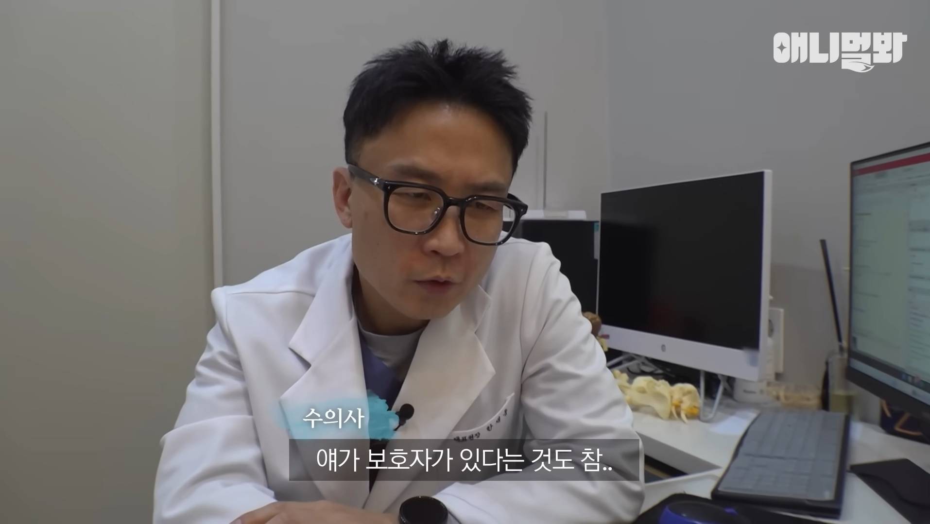 털로 뒤덮여서 걷지도 못하는데 케어한 거라는 견주 | 인스티즈