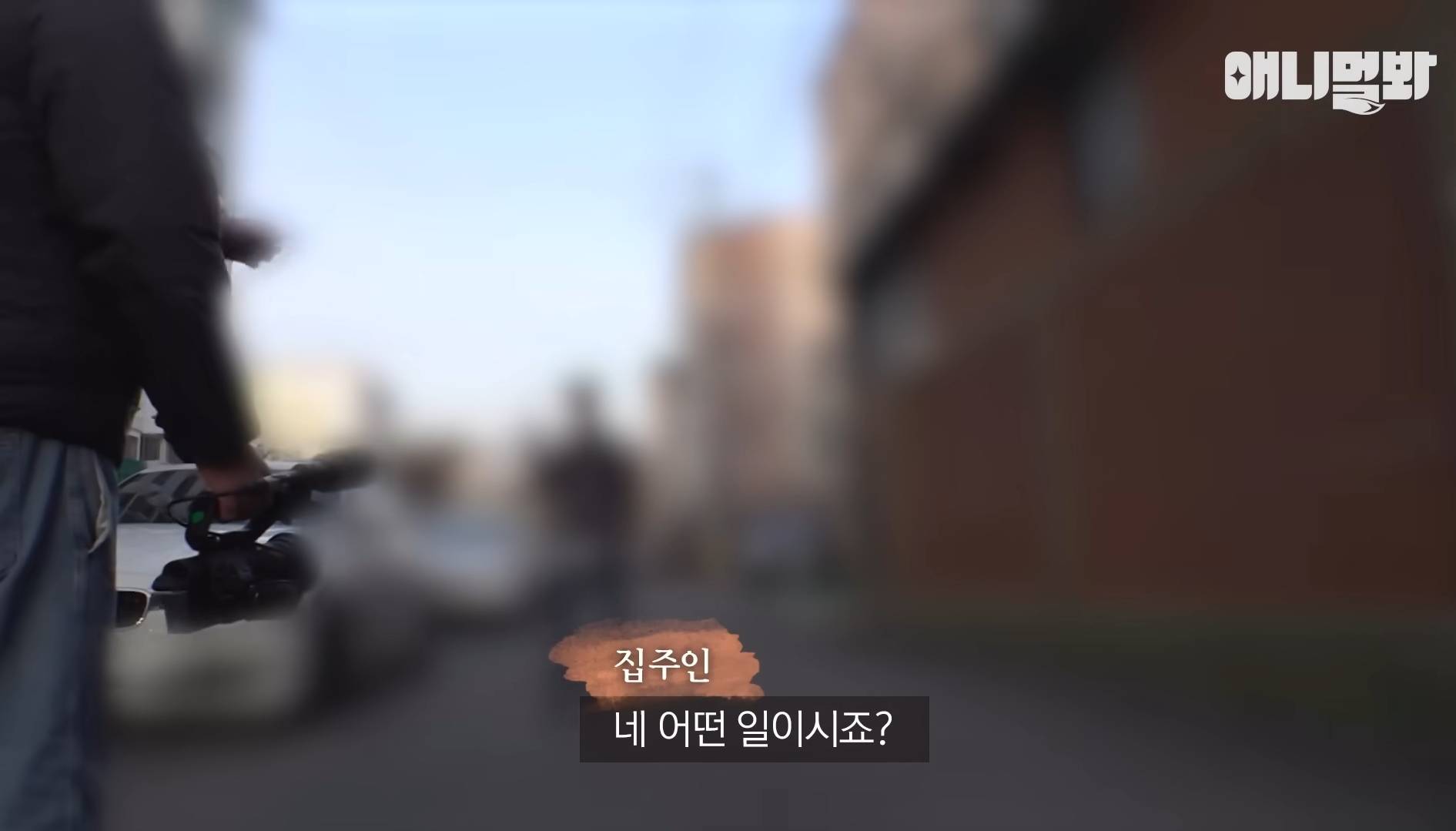 털로 뒤덮여서 걷지도 못하는데 케어한 거라는 견주 | 인스티즈