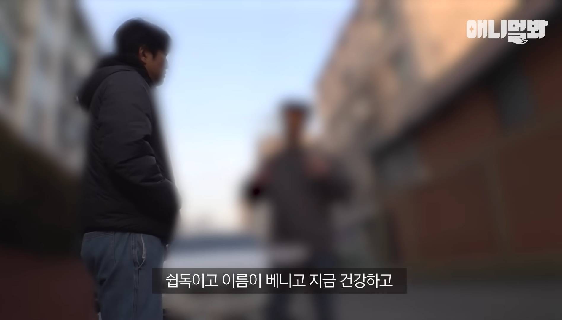 털로 뒤덮여서 걷지도 못하는데 케어한 거라는 견주 | 인스티즈