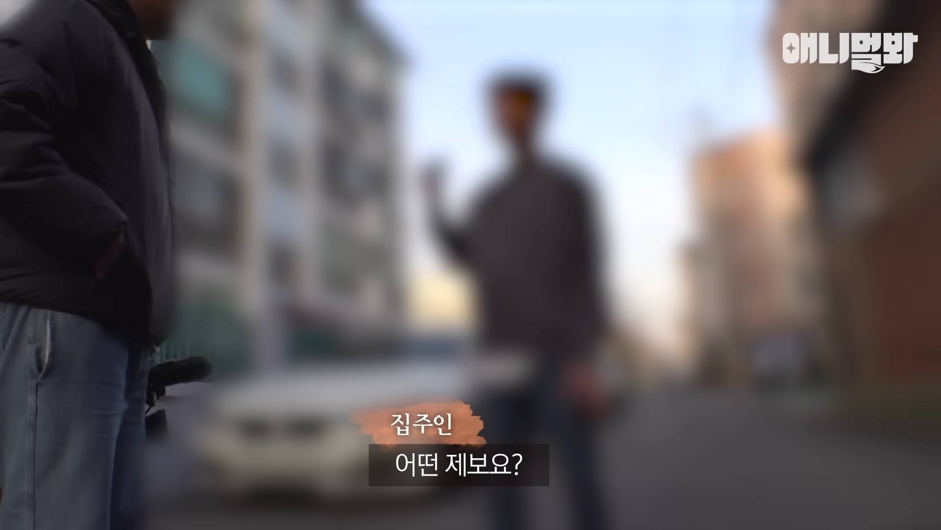 털로 뒤덮여서 걷지도 못하는데 케어한 거라는 견주 | 인스티즈