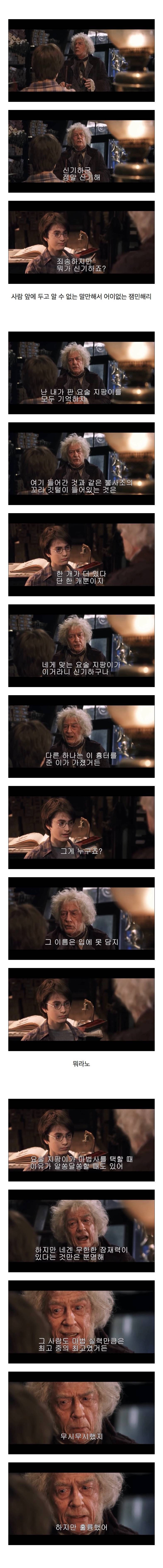 [해리포터] 결말을 알고 보면 처음부터 선명했던 복선 | 인스티즈
