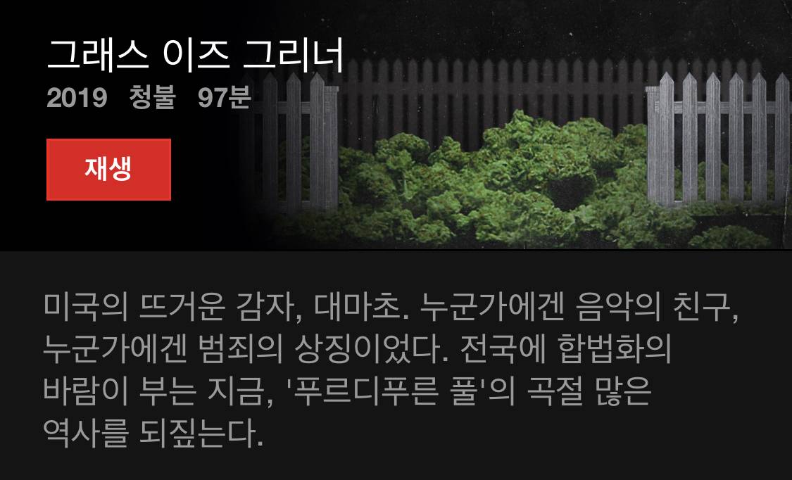 넷플릭스를 더 알차게 쓰고 싶으면 다큐를 보면 됨. 당연함. 다큐 맛집임 | 인스티즈