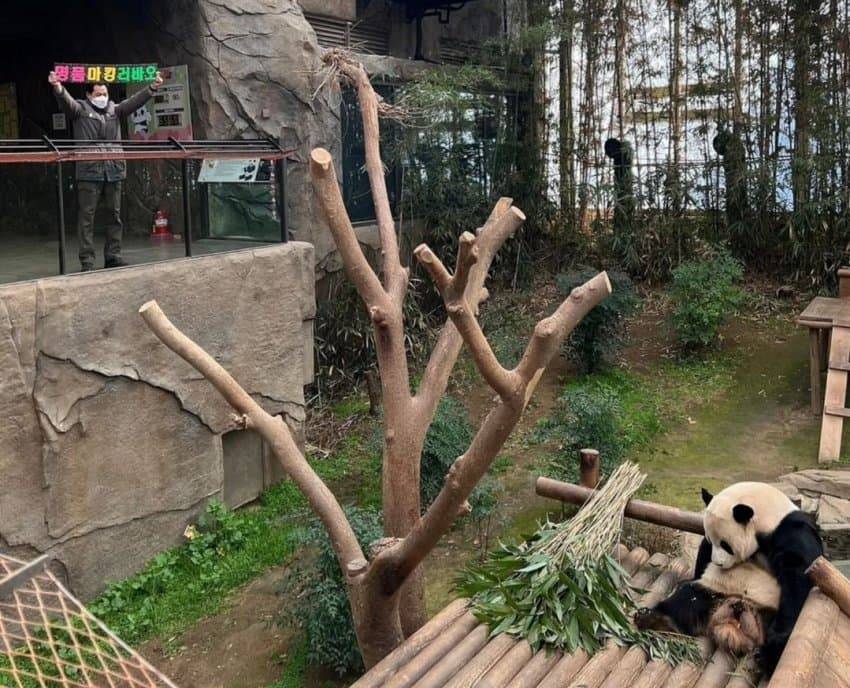 러바오 유명 사생팬 장비 | 인스티즈
