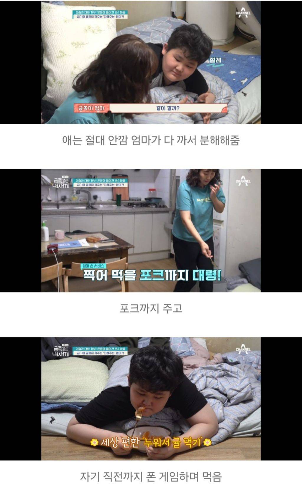 대한민국 가정집에서 아들들이 자라나는 과정 | 인스티즈