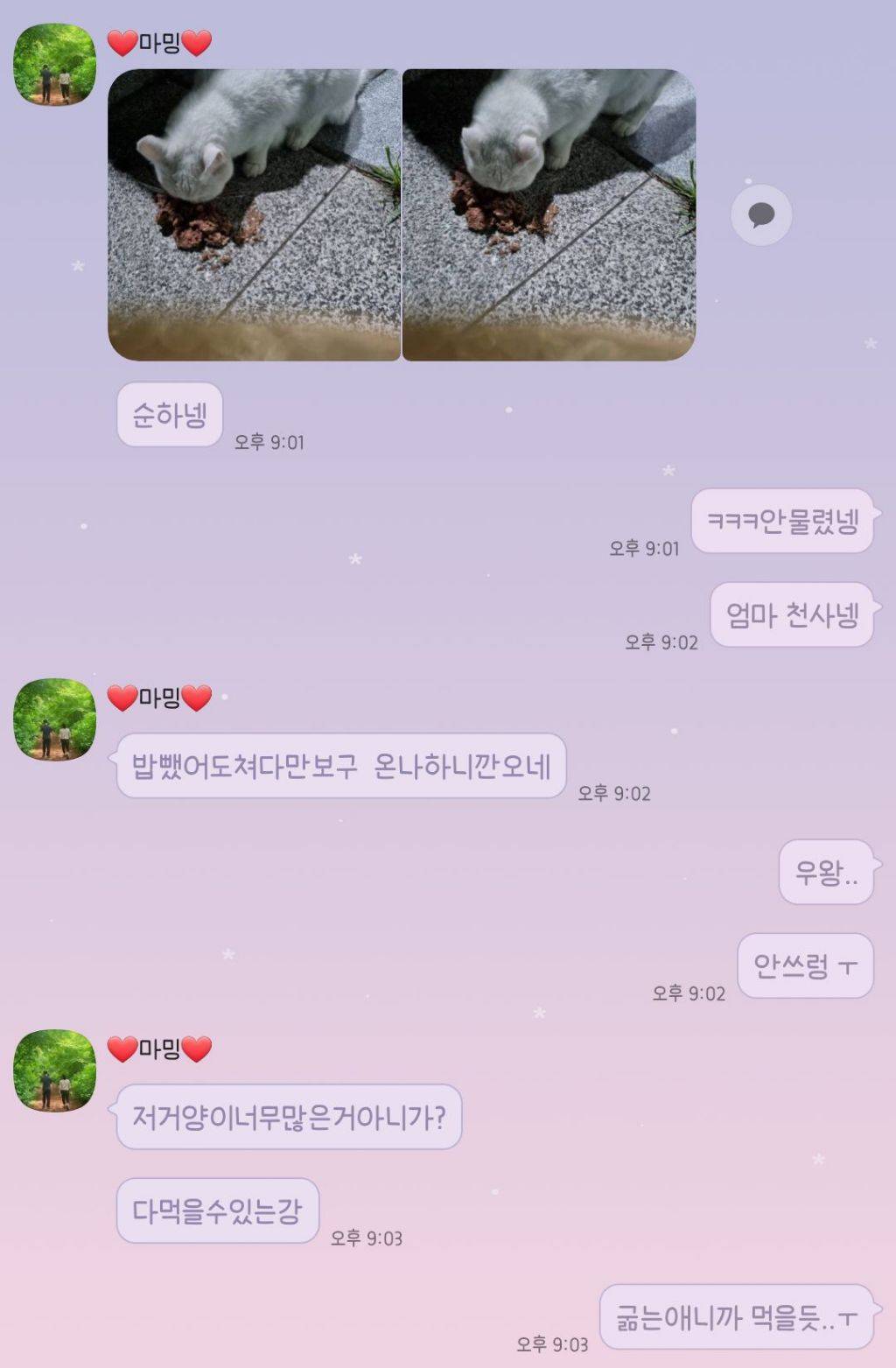 울 엄마 고양이 안좋아하는데 방금 넘 귀여운일 있었어ㅋㅋㅋㅋㅋㅋ | 인스티즈