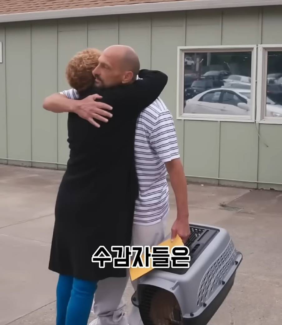 교도소에 고양이 70마리를 풀어 놓았더니 생긴 일 | 인스티즈