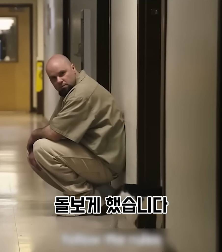 교도소에 고양이 70마리를 풀어 놓았더니 생긴 일 | 인스티즈