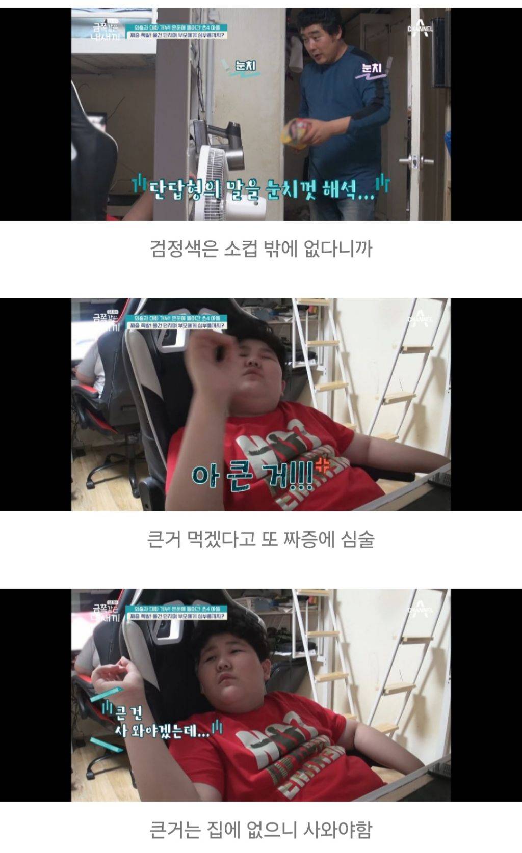 대한민국 가정집에서 아들들이 자라나는 과정 | 인스티즈