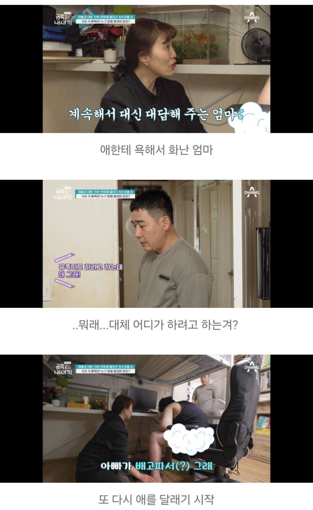 대한민국 가정집에서 아들들이 자라나는 과정 | 인스티즈