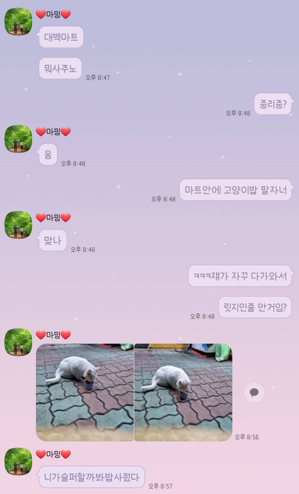 울 엄마 고양이 안좋아하는데 방금 넘 귀여운일 있었어ㅋㅋㅋㅋㅋㅋ | 인스티즈