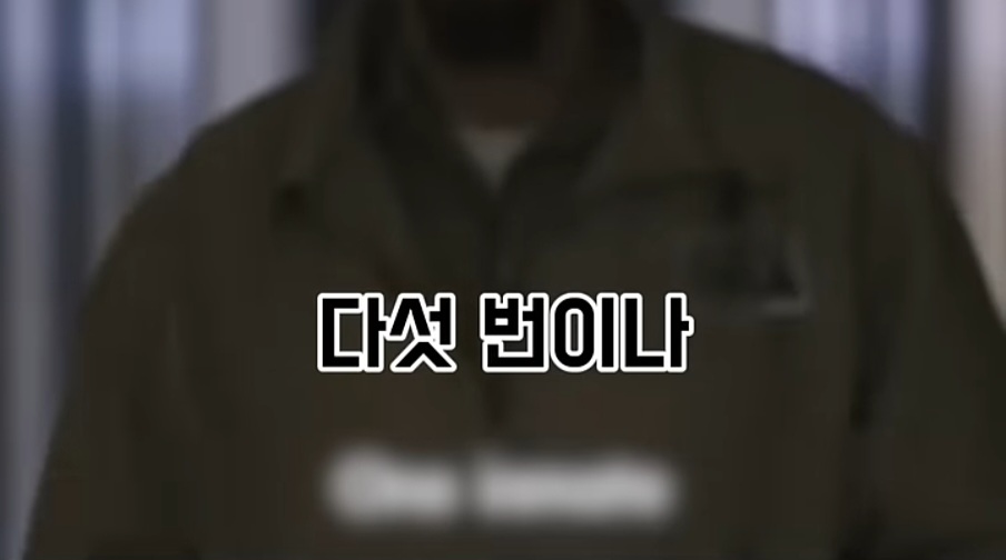 교도소에 고양이 70마리를 풀어 놓았더니 생긴 일 | 인스티즈