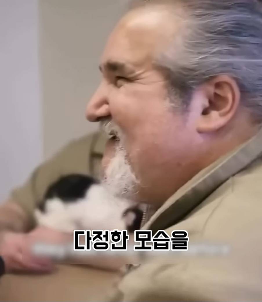 교도소에 고양이 70마리를 풀어 놓았더니 생긴 일 | 인스티즈