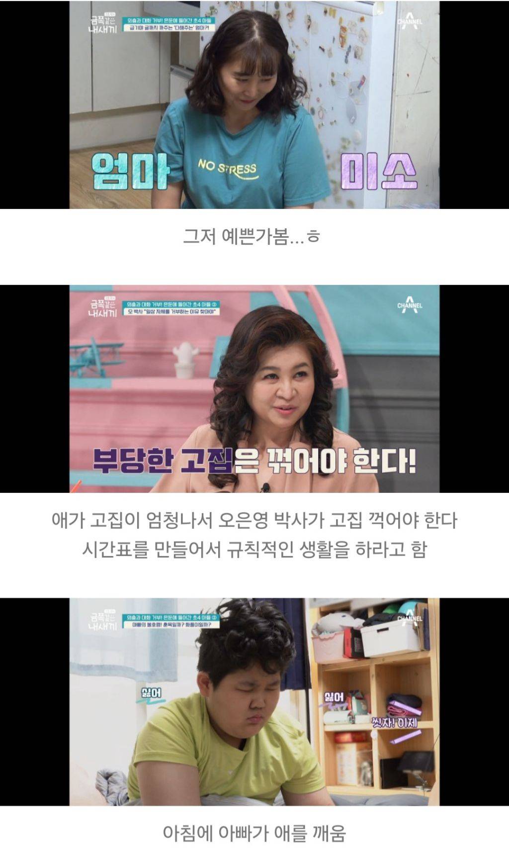 대한민국 가정집에서 아들들이 자라나는 과정 | 인스티즈