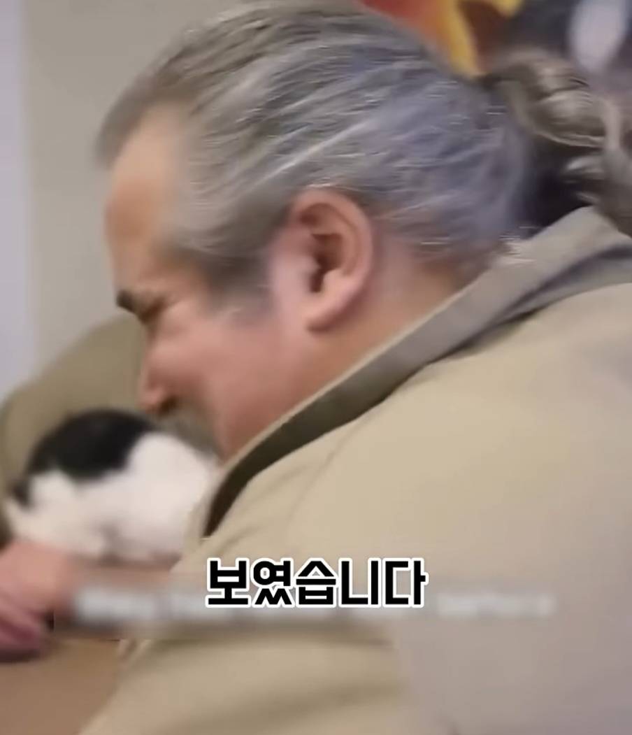 교도소에 고양이 70마리를 풀어 놓았더니 생긴 일 | 인스티즈