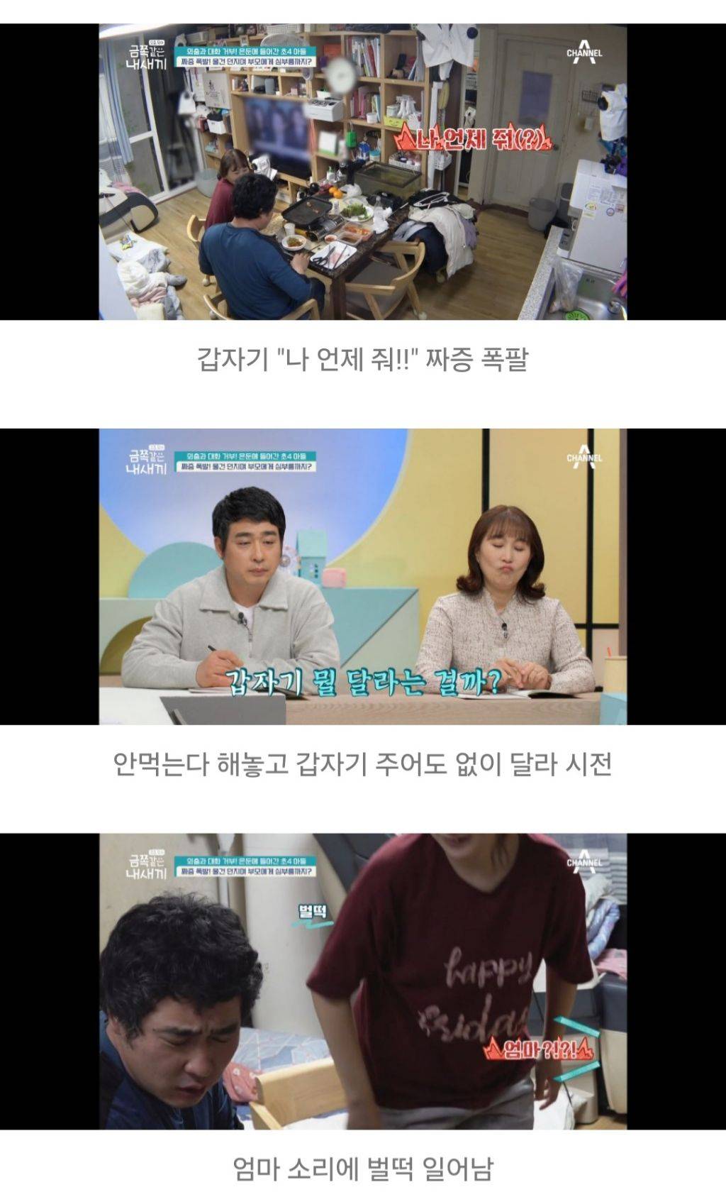 대한민국 가정집에서 아들들이 자라나는 과정 | 인스티즈