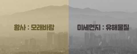 미세먼지 해독음식 | 인스티즈