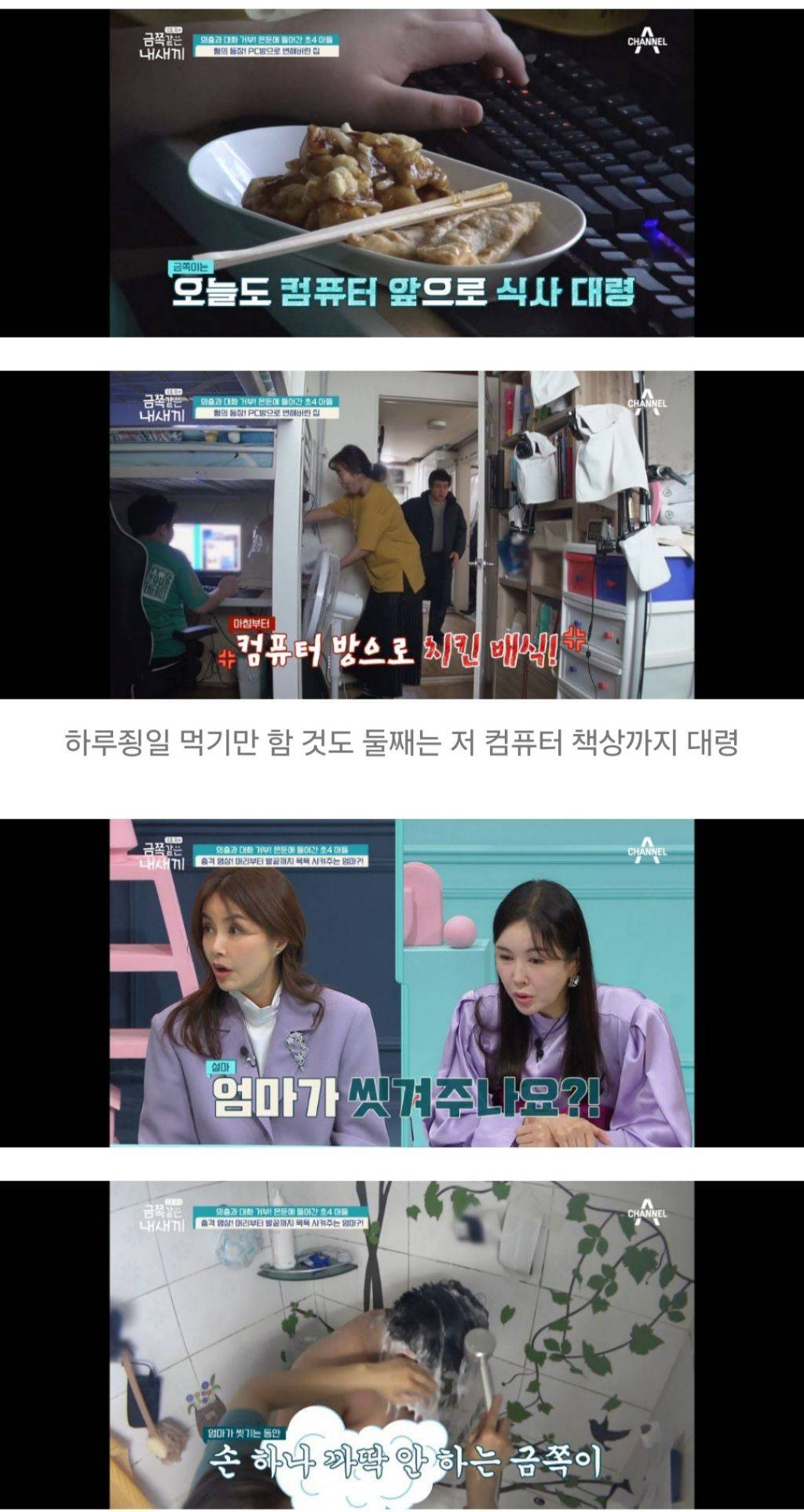 대한민국 가정집에서 아들들이 자라나는 과정 | 인스티즈