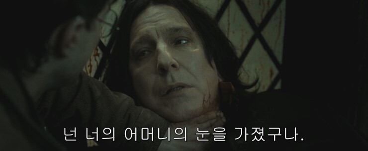 🧙‍♀️문화재 살인될까봐 남기는 썩시들의 해리포터 tmi (스압주의) | 인스티즈