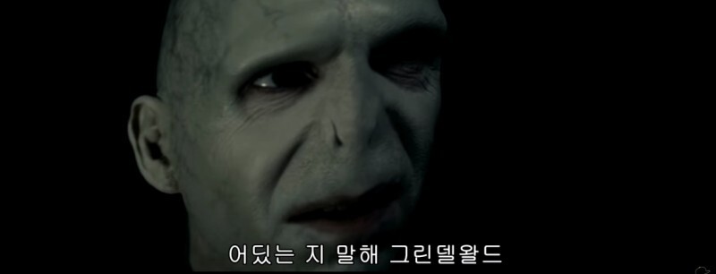 🧙‍♀️문화재 살인될까봐 남기는 썩시들의 해리포터 tmi (스압주의) | 인스티즈