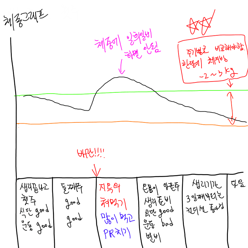 스압) 100kg 병약돼지에서 69.9kg 건강돼지로의 여정 | 인스티즈