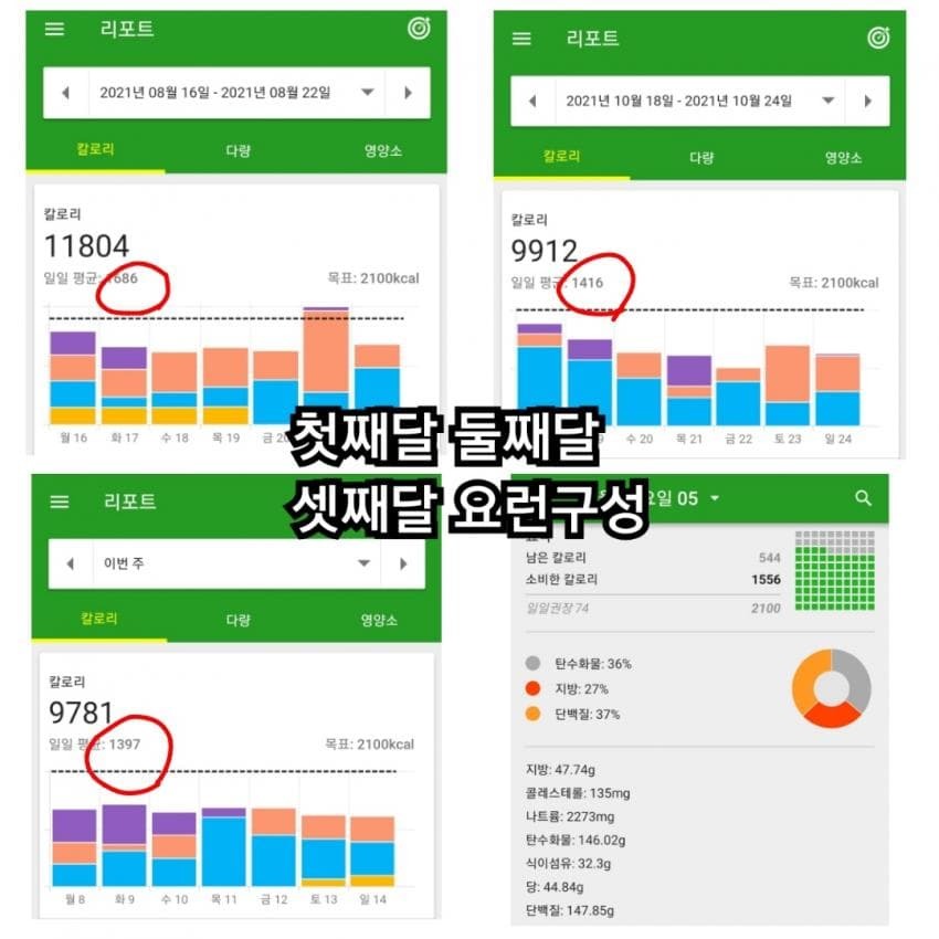 스압) 100kg 병약돼지에서 69.9kg 건강돼지로의 여정 | 인스티즈