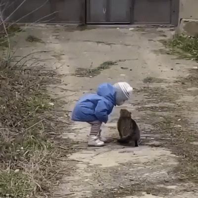 힐링 그 잡채인 아기랑 고양이 조합 | 인스티즈