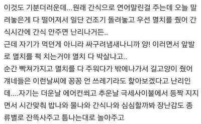 내가 키우는 고양이 정말 싸가지 없어 | 인스티즈