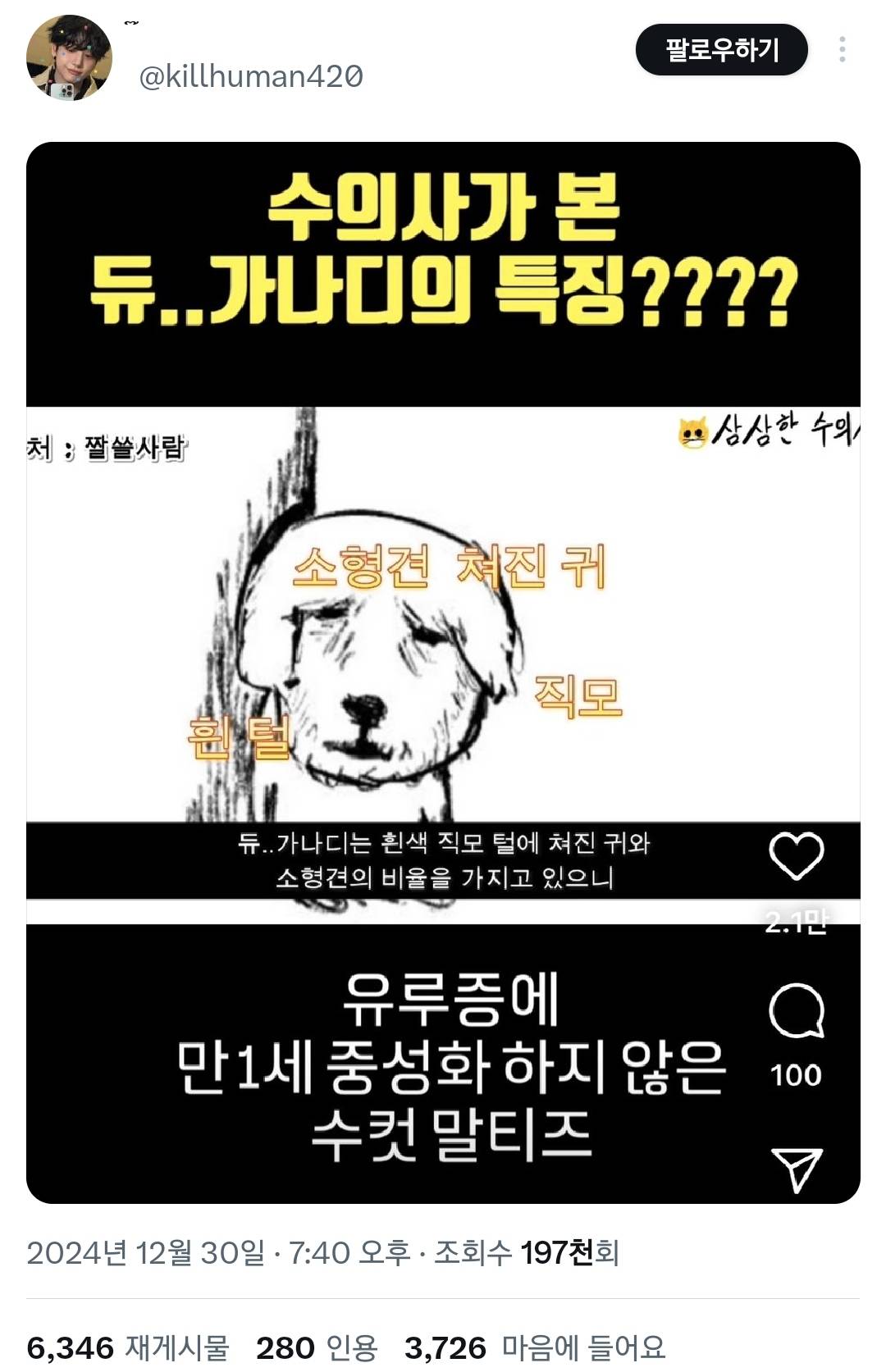 수의사가 진지하게 분석한 듀..가나디 견종, 성별.twt | 인스티즈