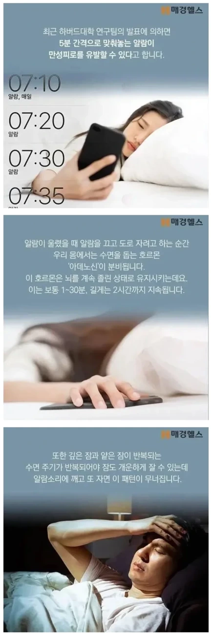 5분 간격 모닝콜이 위험한 이유 | 인스티즈