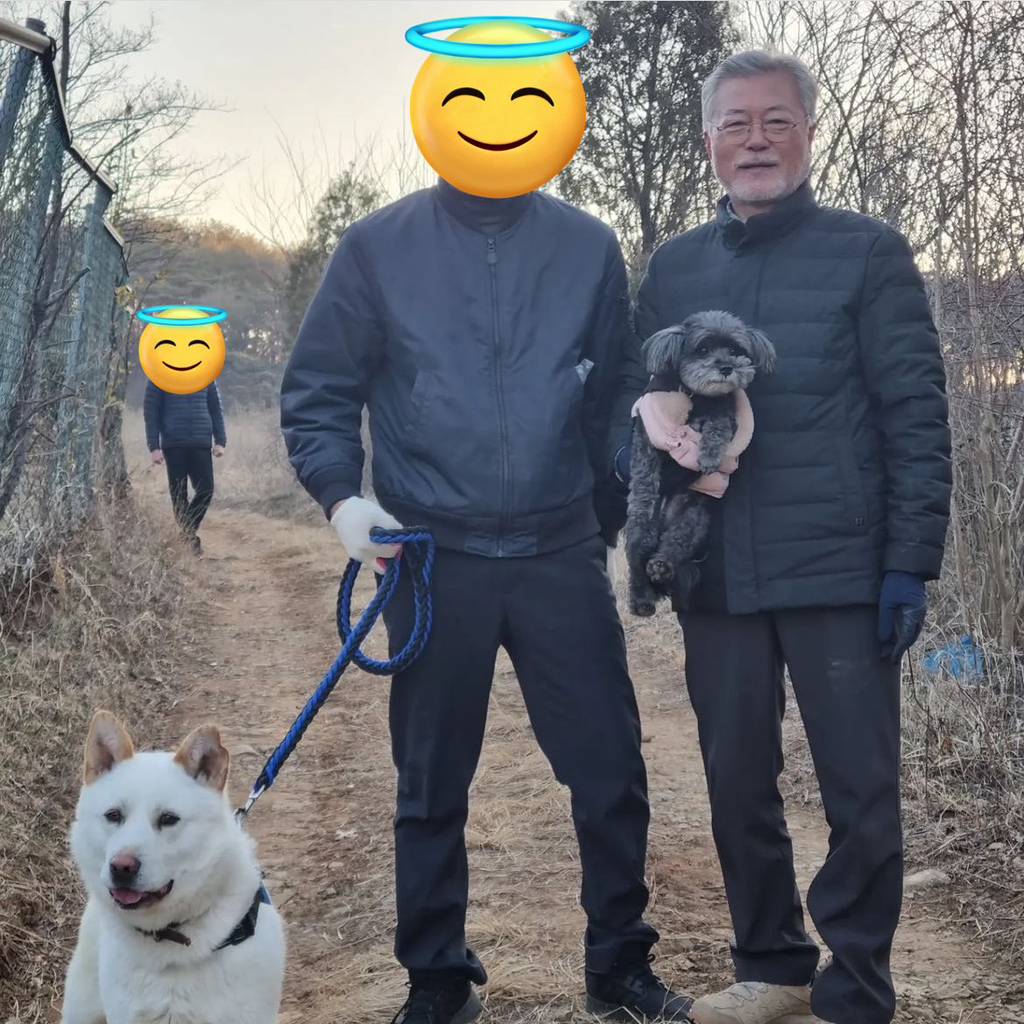 강아지별 떠난 문토리 처음 본 사진 모음 | 인스티즈