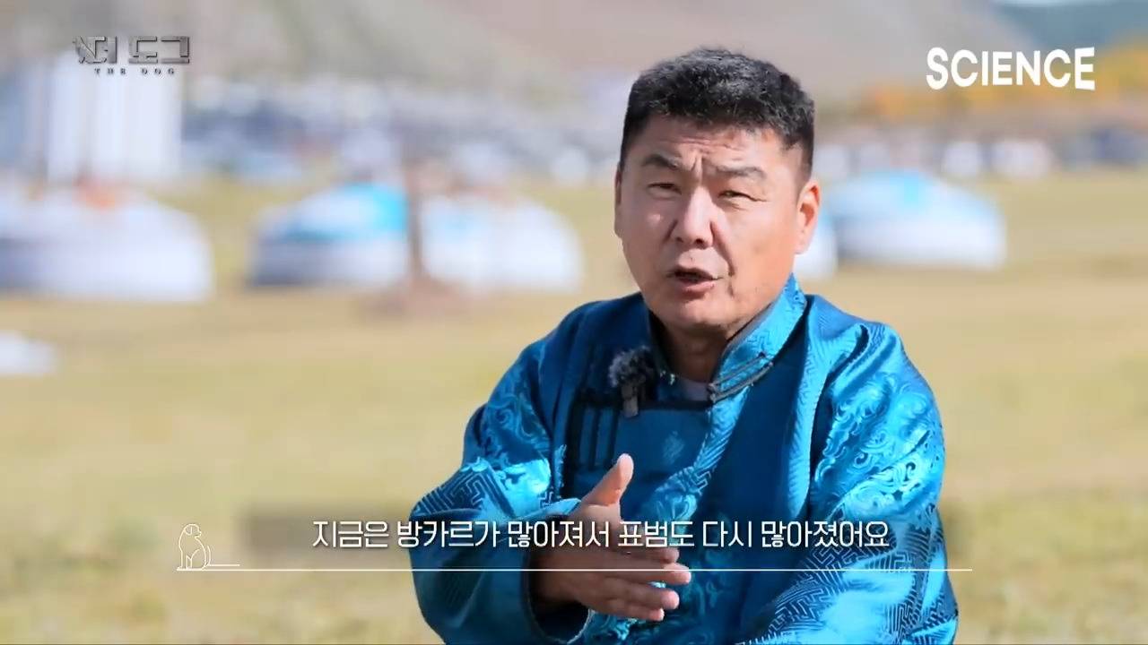 -30도 겨울에 태어나는 몽골 강아지 -하- | 인스티즈