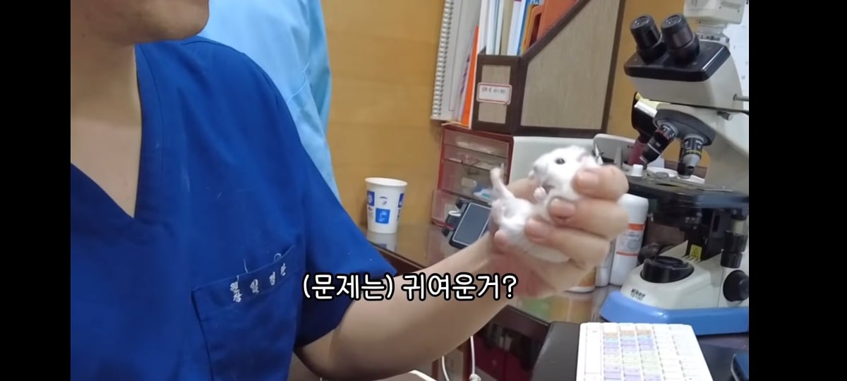 햄스터 건강검진하러 병원왔는데 쌤이 사리사욕 챙김 | 인스티즈