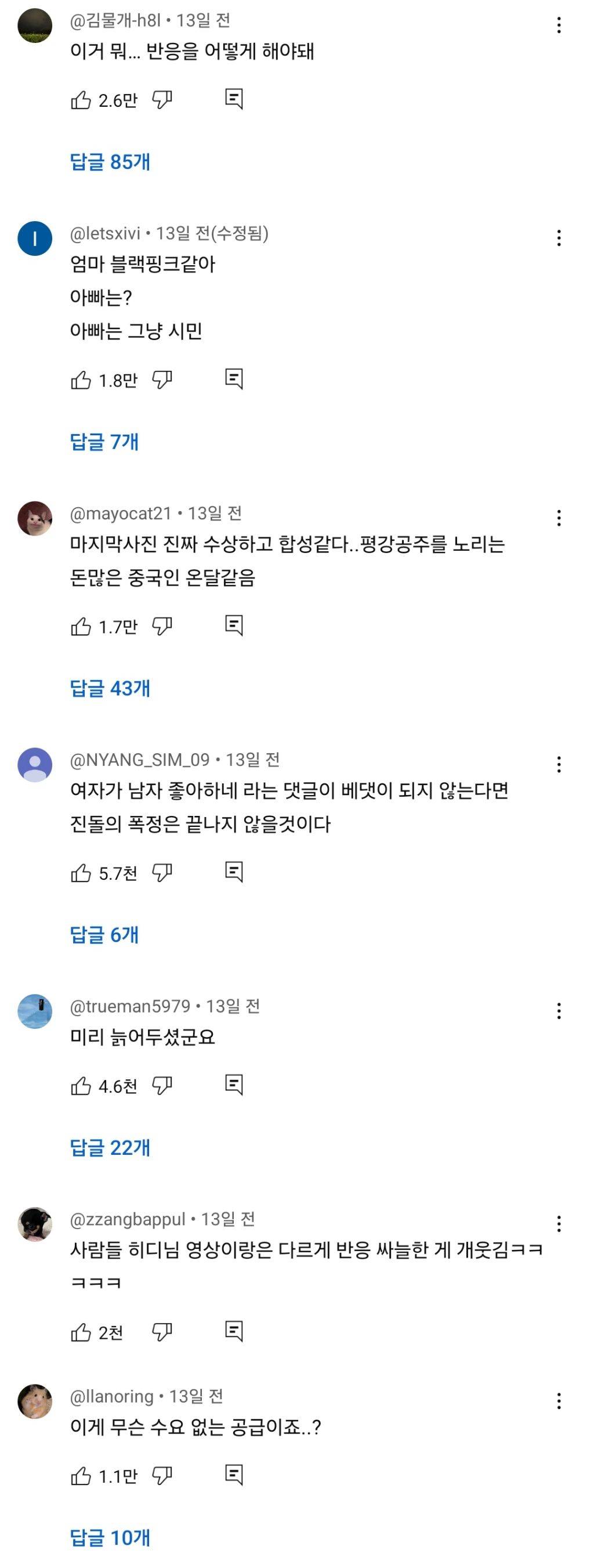 진심 너무하다는 진돌&히디 부부 영상 댓글 온도차........jpg | 인스티즈