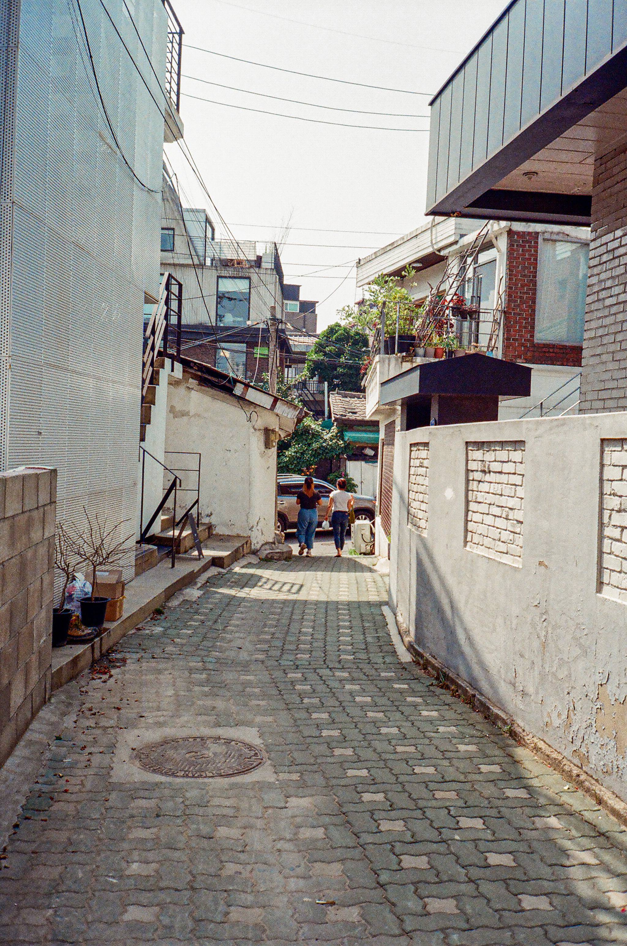 내가 찍은 청량한 한국의 여름 사진들 🪴 | 인스티즈