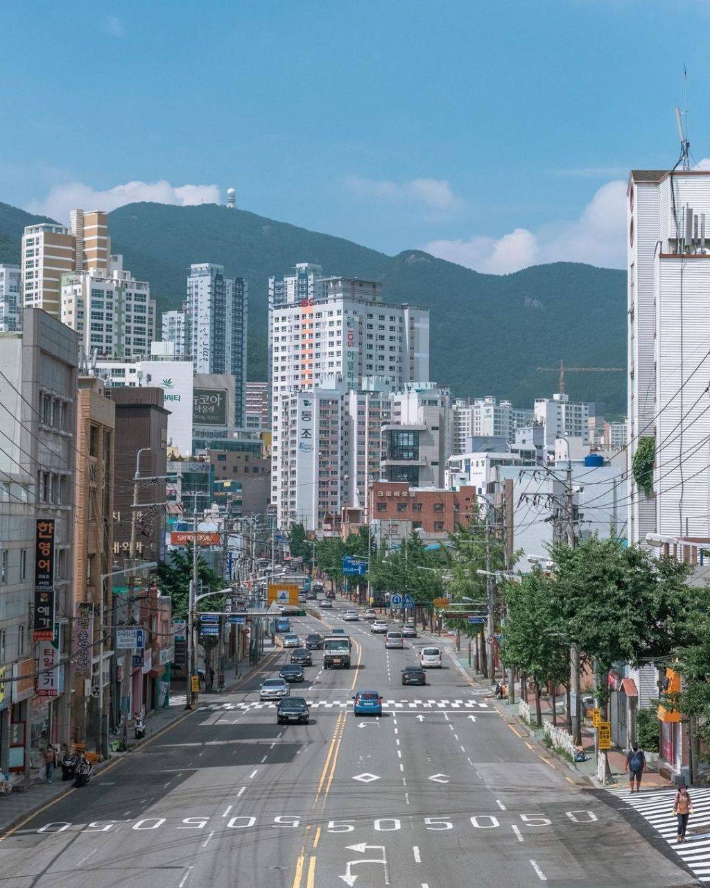 한국의 여름. 강렬함과 청량함, 그리고 아련함 | 인스티즈