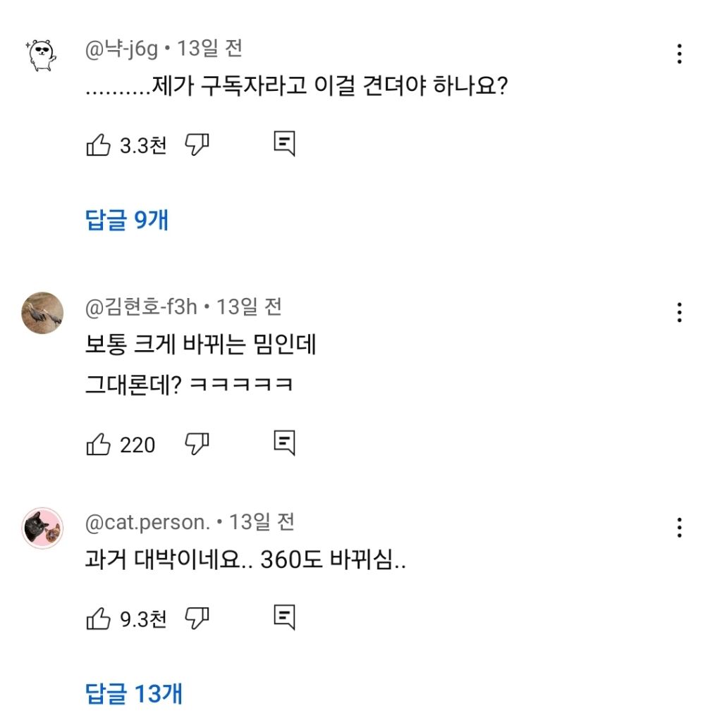 진심 너무하다는 진돌&히디 부부 영상 댓글 온도차........jpg | 인스티즈