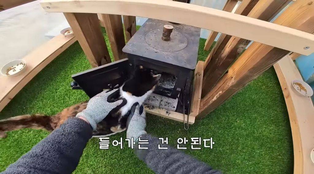 [haha ha] 하지 말라는 것만 골라서 하는 삼쪽이 | 인스티즈