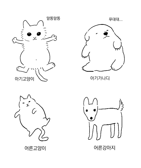 아기강아지는 곰발바닥 똥똥 강아지가 많고 아기고양이는 배똥똥 고양이가 많은데 크면서 반대 되는 경우를 많이 본것 같다.twt | 인스티즈