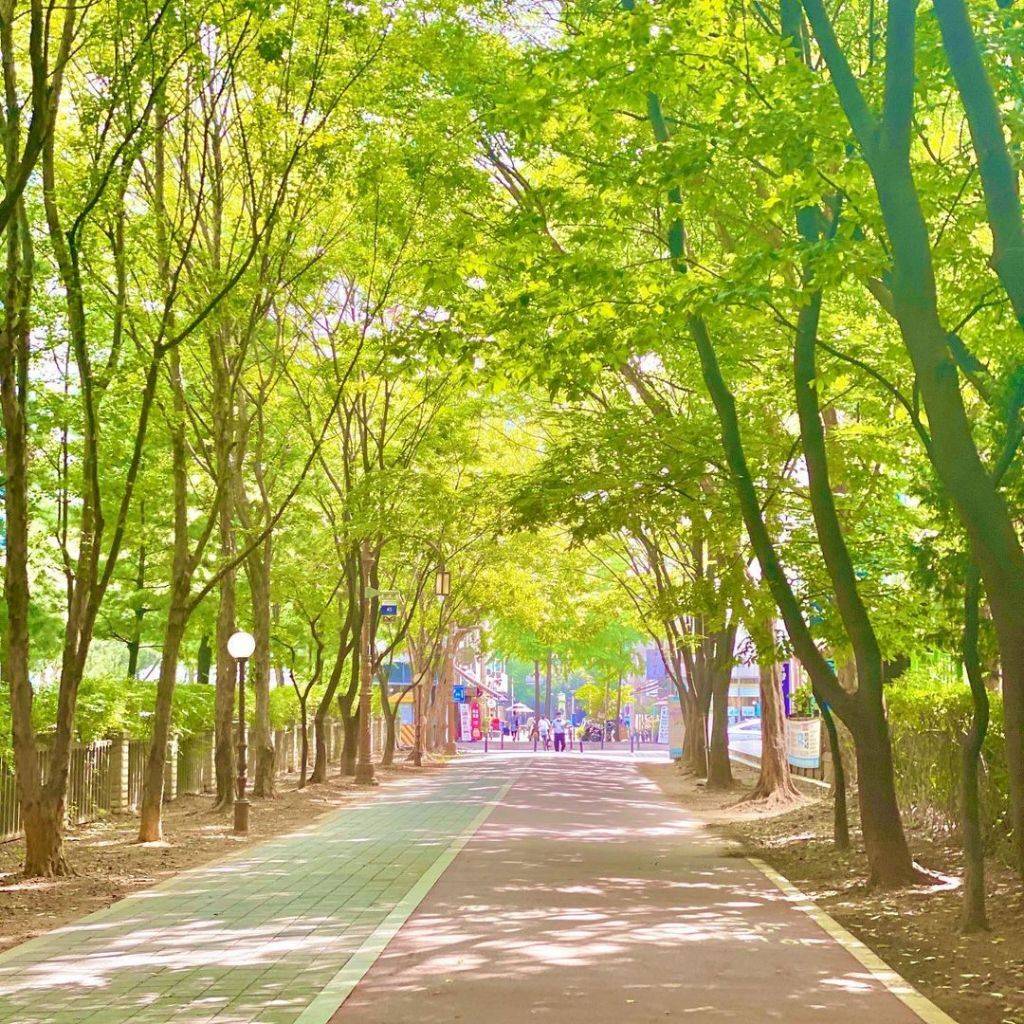 한국의 여름. 강렬함과 청량함, 그리고 아련함 | 인스티즈