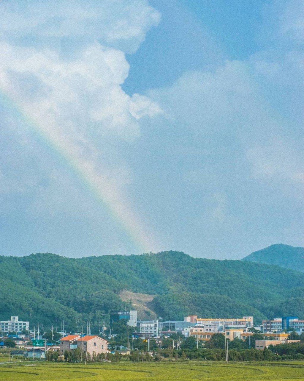 한국의 여름. 강렬함과 청량함, 그리고 아련함 | 인스티즈