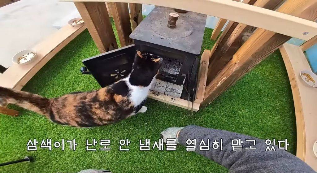 [haha ha] 하지 말라는 것만 골라서 하는 삼쪽이 | 인스티즈